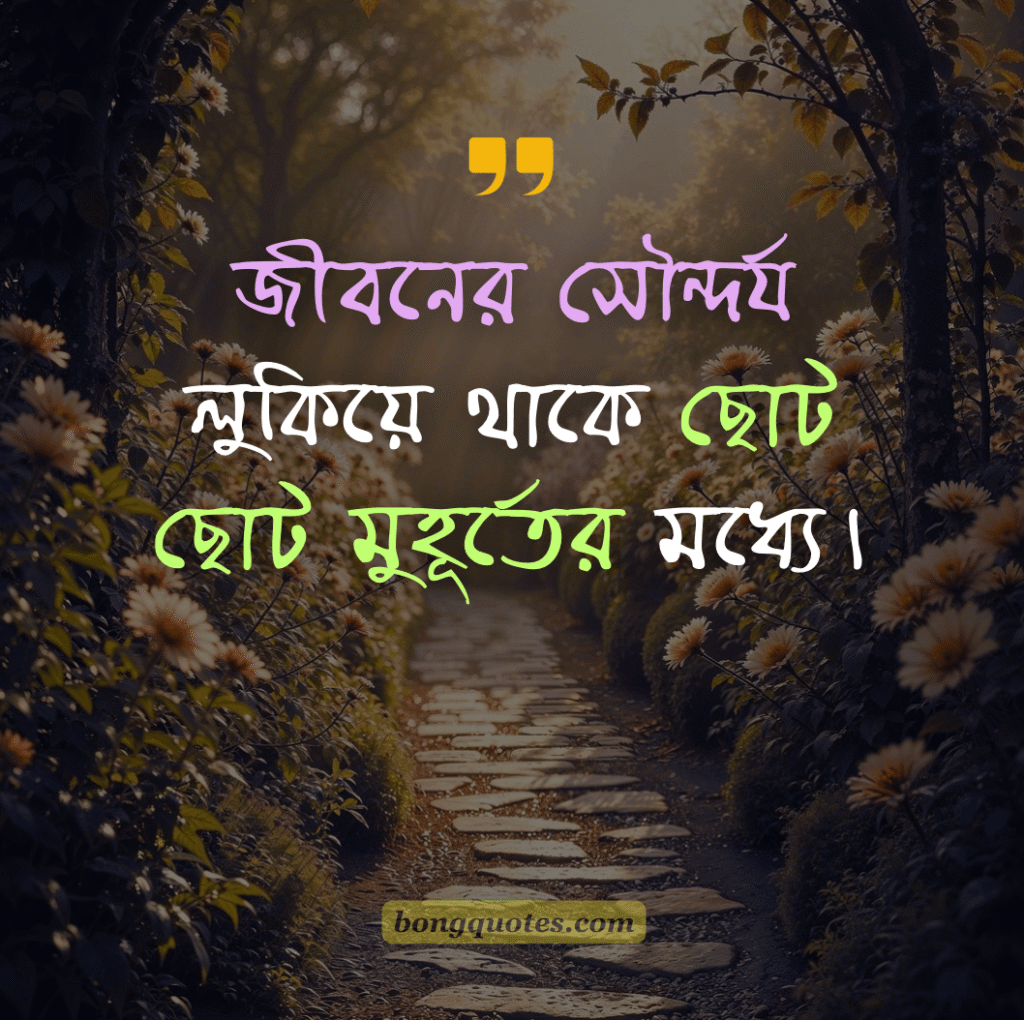 সাদামাটা সুন্দর জীবন নিয়ে উক্তি - "জীবনের সৌন্দর্য লুকিয়ে থাকে ছোট ছোট মুহূর্তের মধ্যে।"