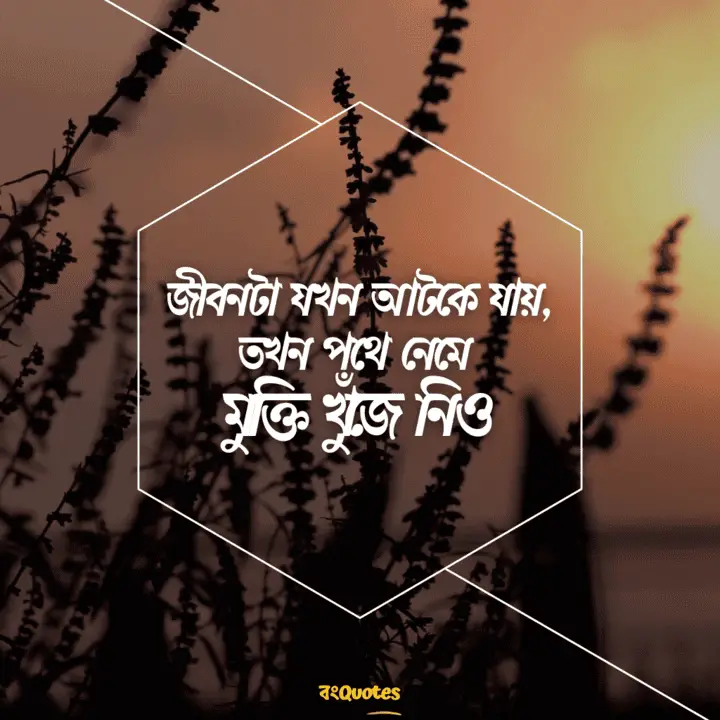 ভ্রমণ 14