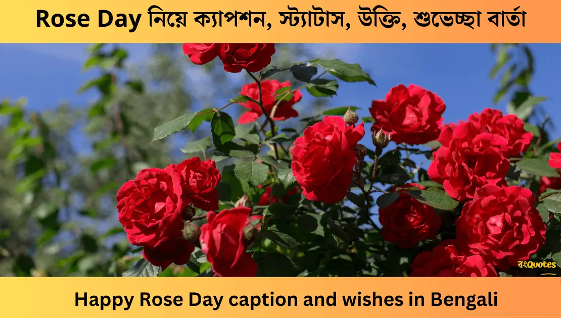 Rose Day নিয়ে ক্যাপশন