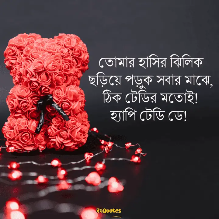 টেডি ডে 5