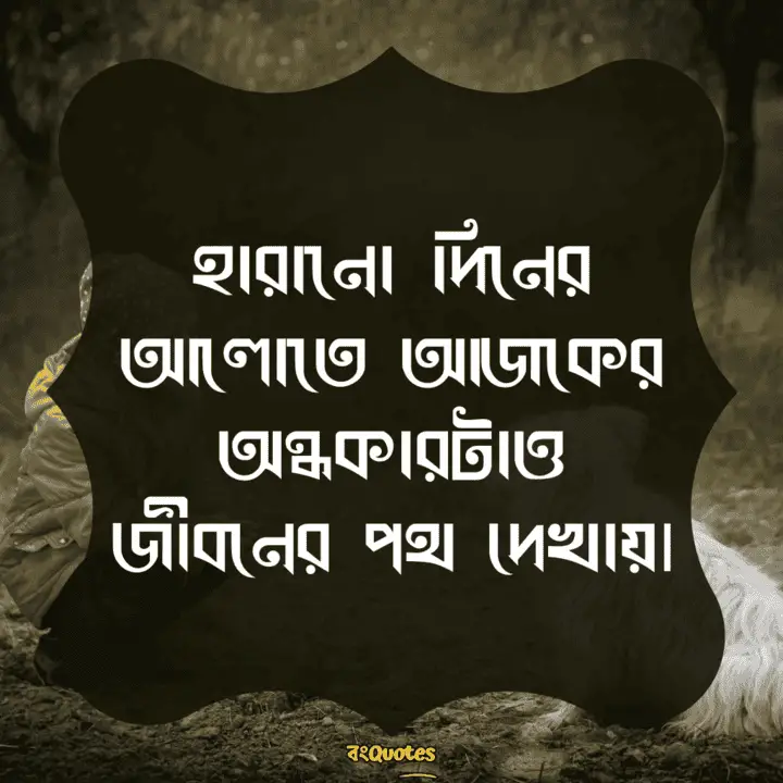 হারানো দিন 13