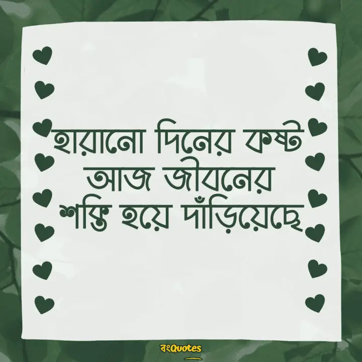 হারানো দিন 8