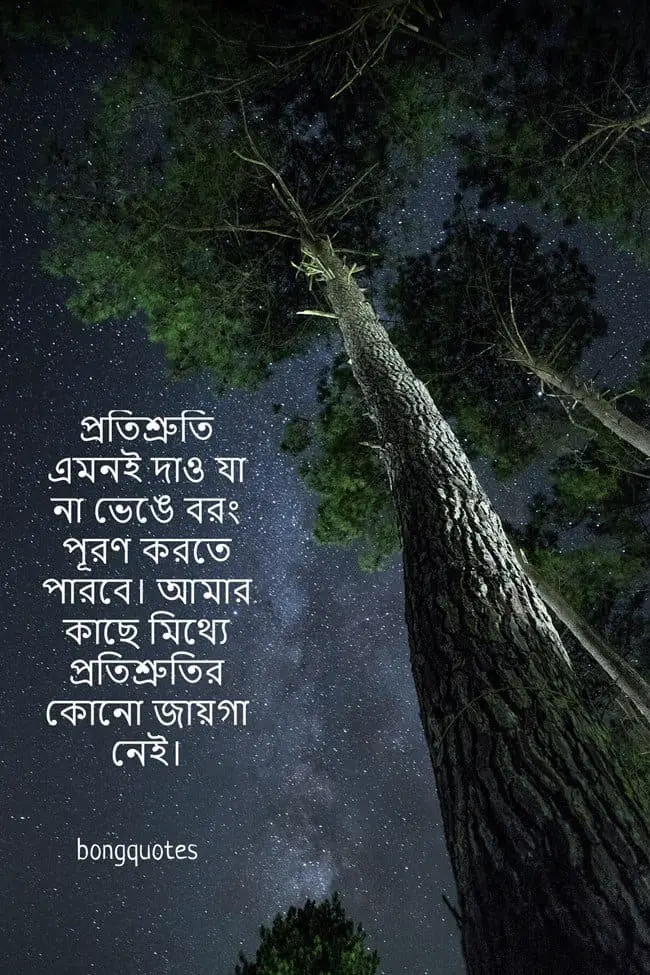 প্রমিস ডে মেসেজ