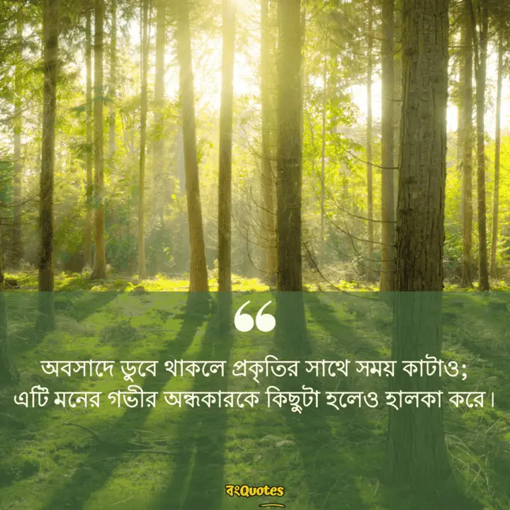 ডিপ্রেশন নিয়ে উক্তি 9