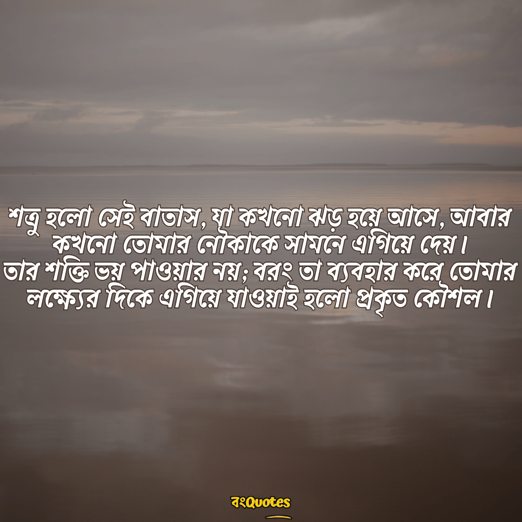 শত্রু নিয়ে উক্তি 16