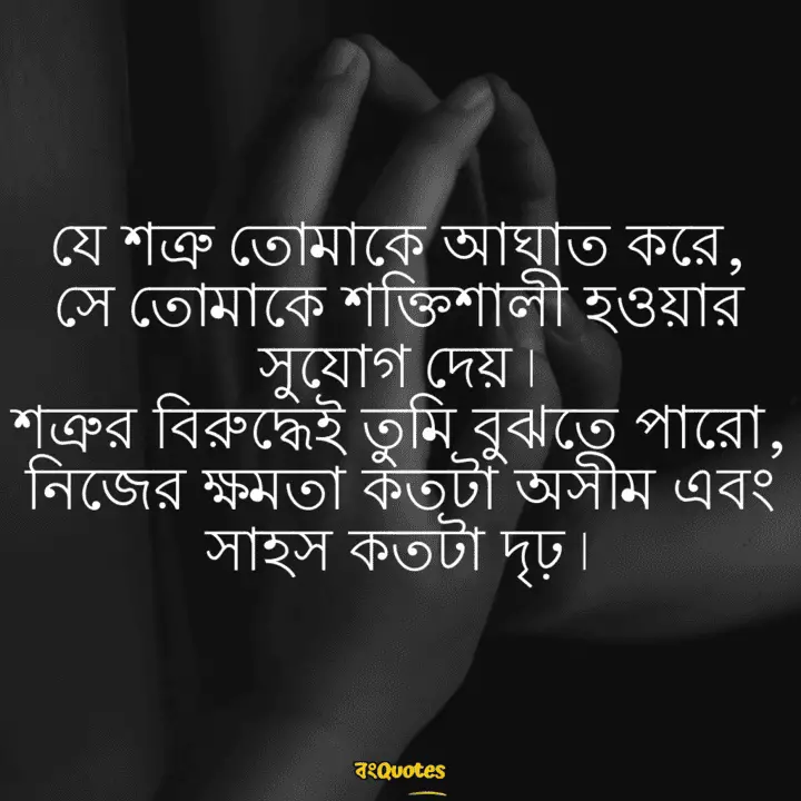 শত্রু নিয়ে উক্তি 9