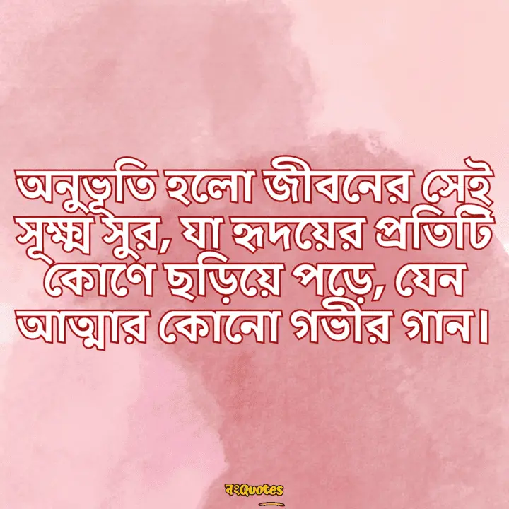 অনুভূতি নিয়ে উক্তি 13