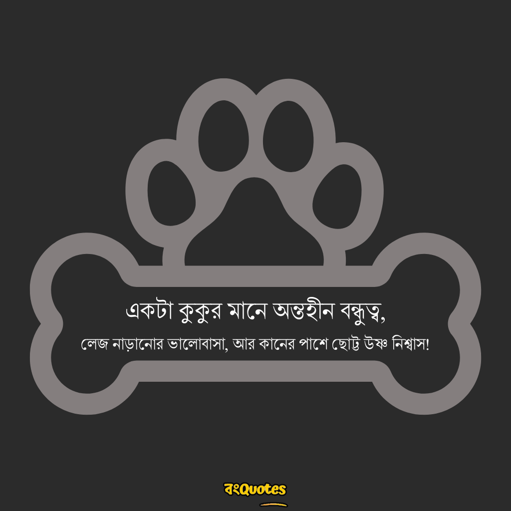 কুকুর 17