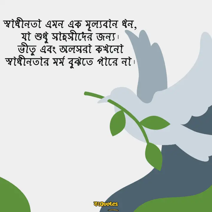 স্বাধীনতা 17