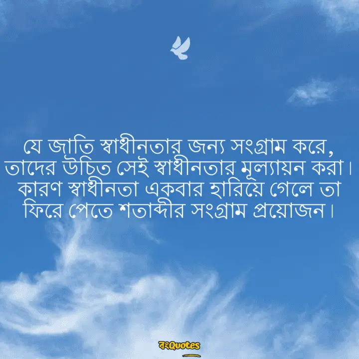 স্বাধীনতা 8