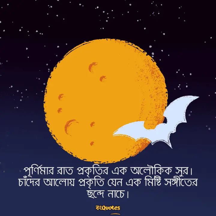 পূর্ণিমার চাঁদ নিয়ে লেখা উক্তি 16