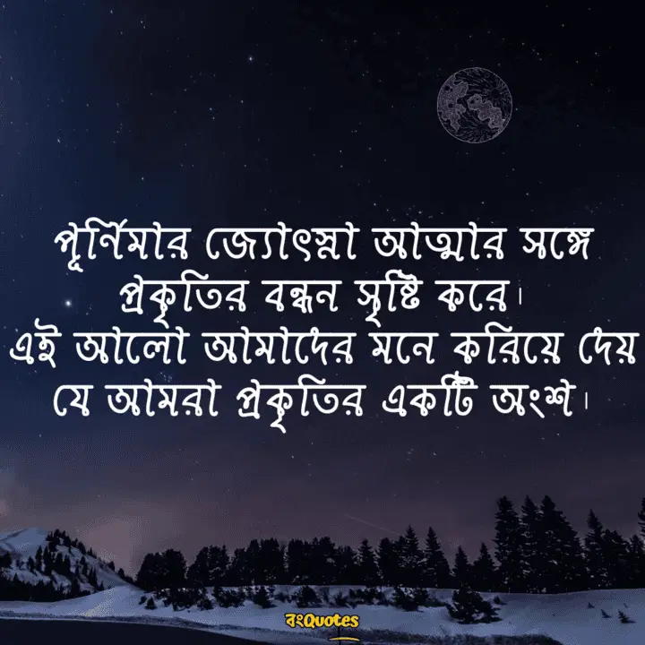 পূর্ণিমার চাঁদ নিয়ে লেখা উক্তি 17