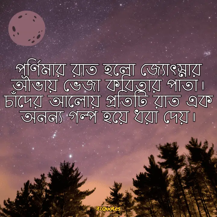 পূর্ণিমার চাঁদ নিয়ে লেখা উক্তি 21