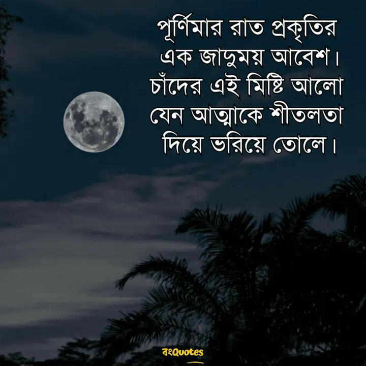 পূর্ণিমার চাঁদ নিয়ে লেখা উক্তি 5