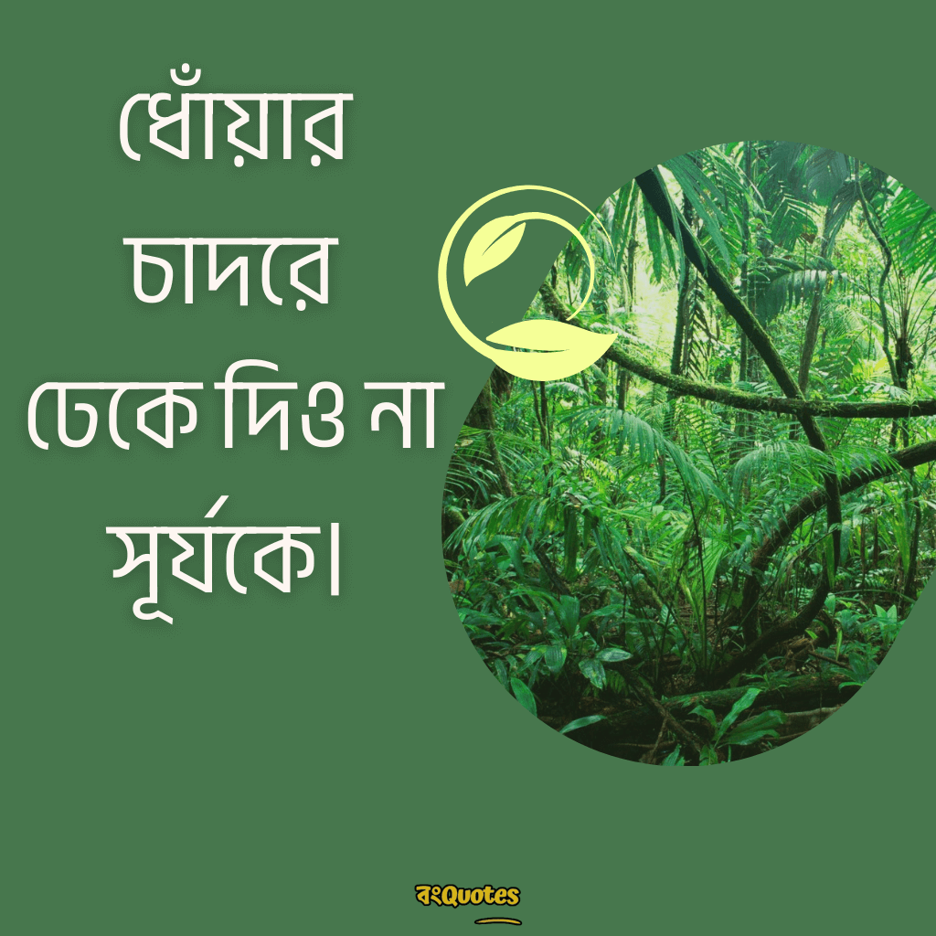 বিশ্ব পরিবেশ দিবস নিয়ে উক্তি 12