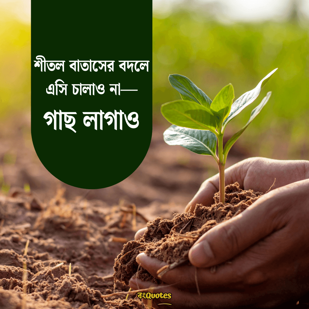 বিশ্ব পরিবেশ দিবস নিয়ে উক্তি 6
