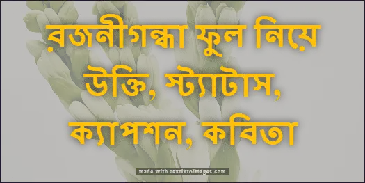 রজনীগন্ধা ফুল নিয়ে উক্তি, স্ট্যাটাস, ক্যাপশন, কবিতা