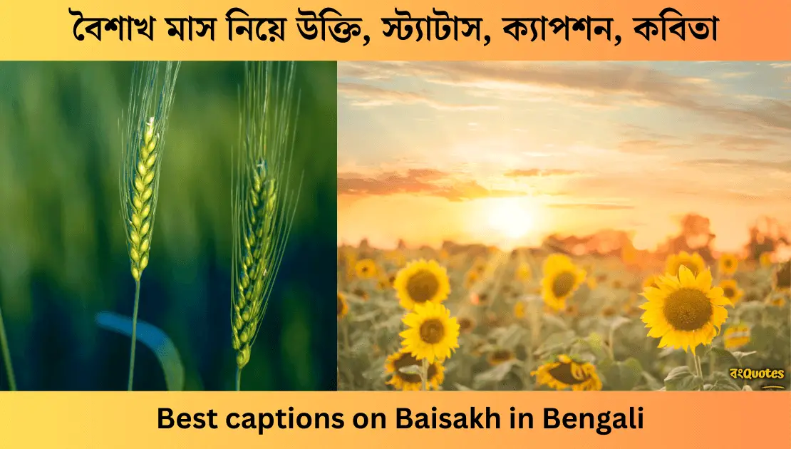 বৈশাখ মাস নিয়ে উক্তি