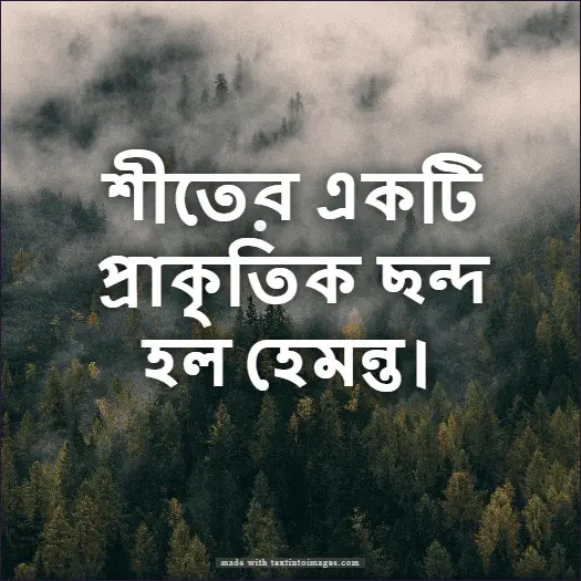 হেমন্তকাল নিয়ে ক্যাপশন