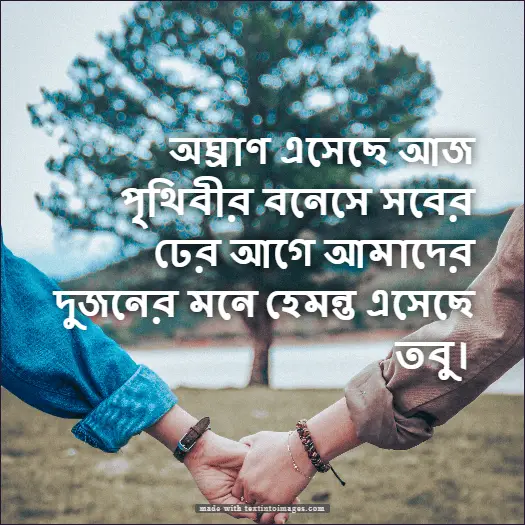 হেমন্তকাল নিয়ে স্টেটাস