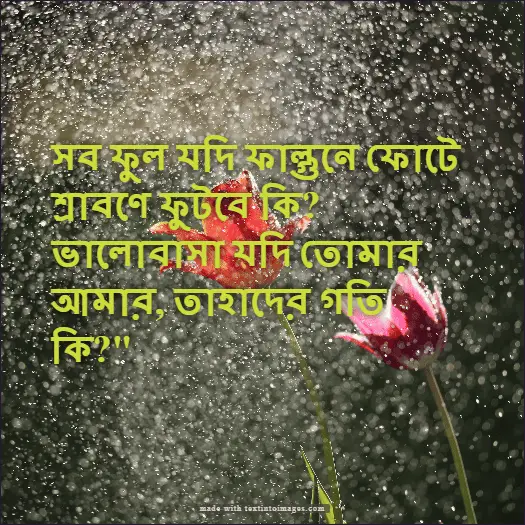 শ্রাবণ মাস নিয়ে স্টেটাস