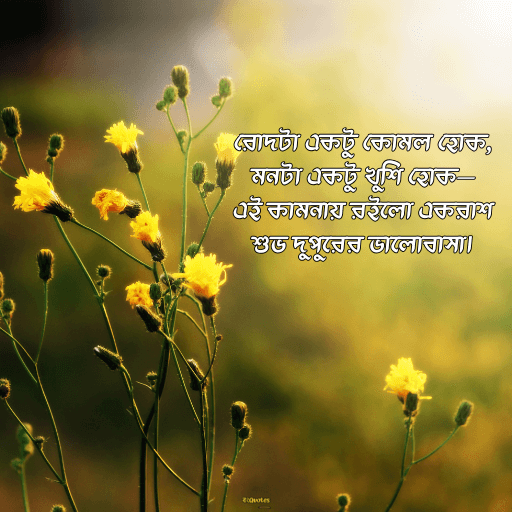 দুপুরের শুভেচ্ছা বার্তা 16