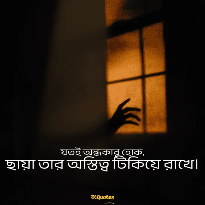 ছায়া নিয়ে ক্যাপশন 11