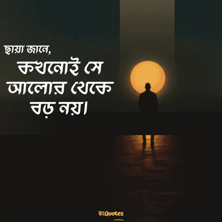 ছায়া নিয়ে ক্যাপশন 14