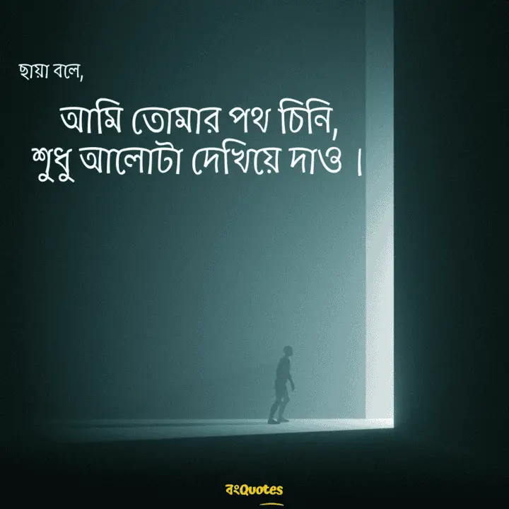 ছায়া নিয়ে ক্যাপশন 15