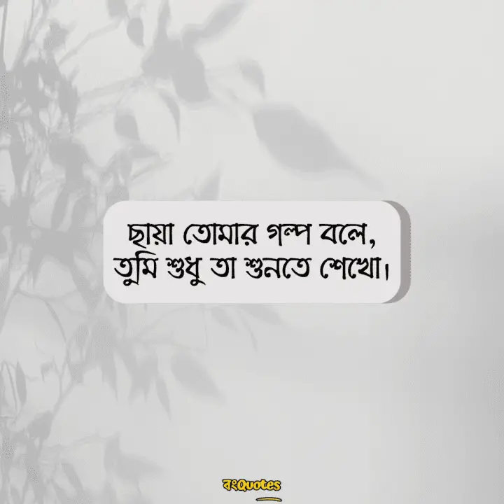 ছায়া নিয়ে ক্যাপশন 19