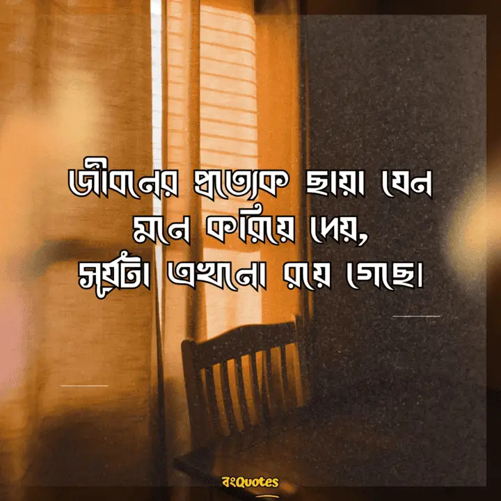 ছায়া নিয়ে ক্যাপশন 13