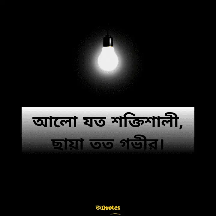 ছায়া নিয়ে ক্যাপশন 6