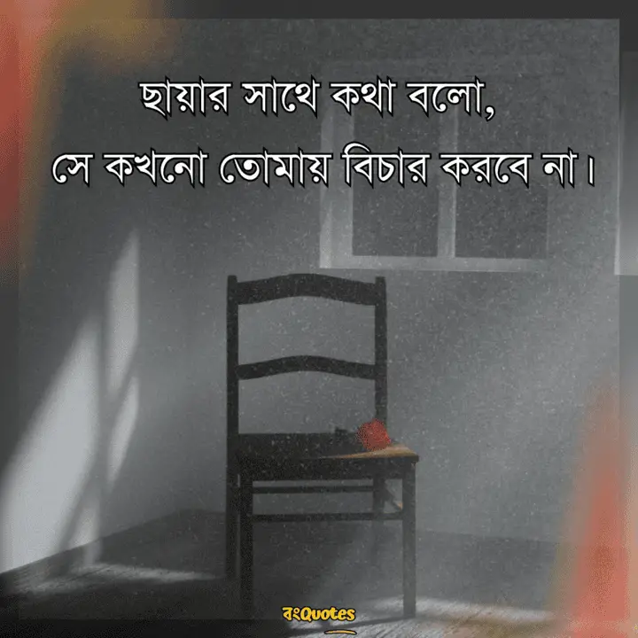 ছায়া নিয়ে ক্যাপশন 8