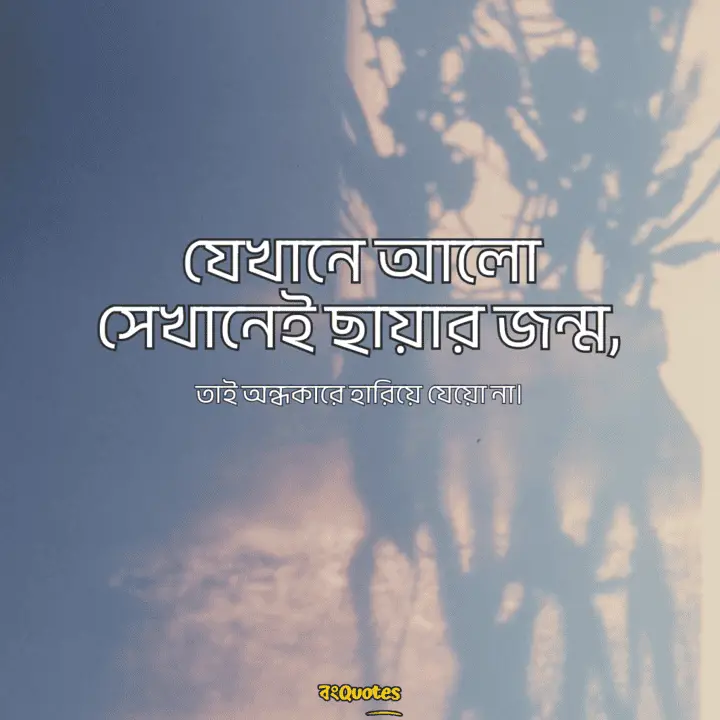 ছায়া নিয়ে ক্যাপশন 9