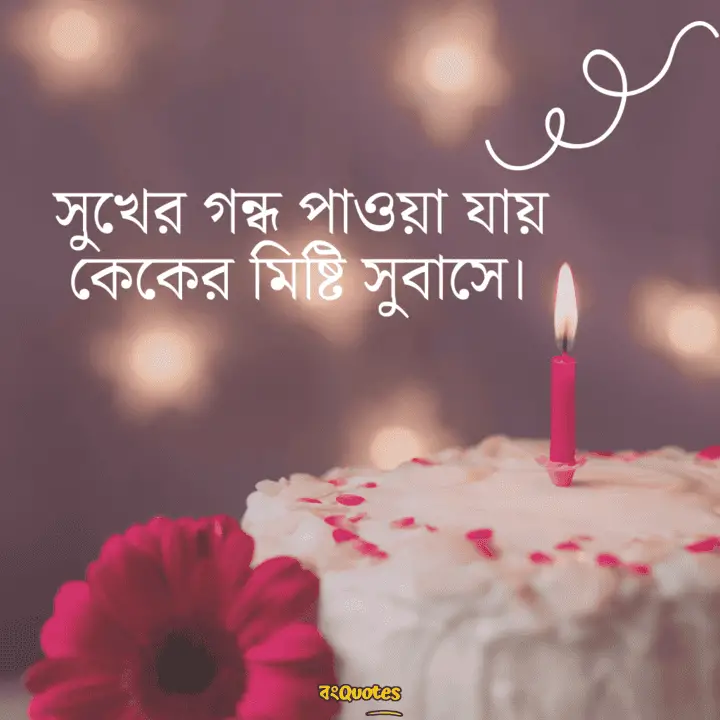 কেক নিয়ে সেরা ক্যাপশন 12