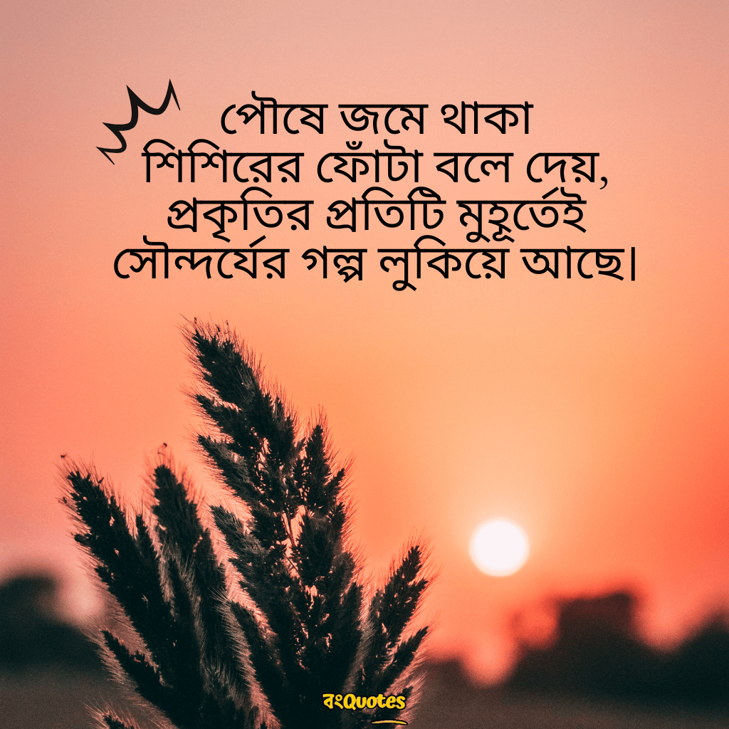 পৌষ মাস নিয়ে উক্তি 11