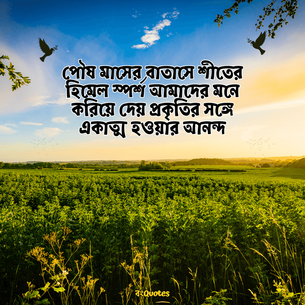 পৌষ মাস নিয়ে উক্তি 13