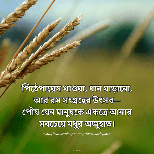 পৌষ মাস 18