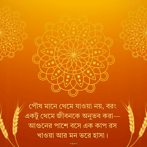 পৌষ মাস 20