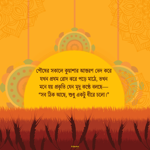 পৌষ মাস 3