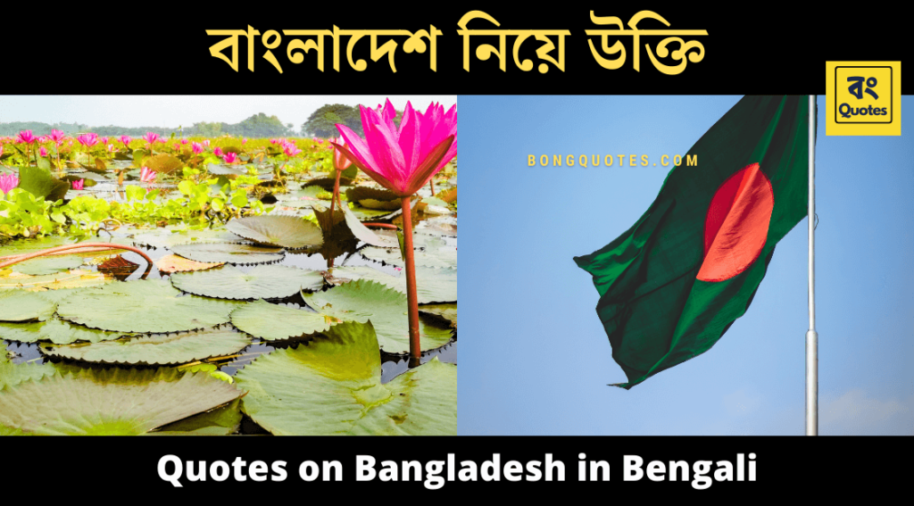 বাংলাদেশ নিয়ে উক্তি, Quotes on Bangladesh in Bengali