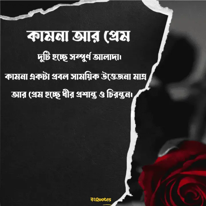 কাজী নজরুল ইসলামের কাব্যিক বাণী ও উক্তি