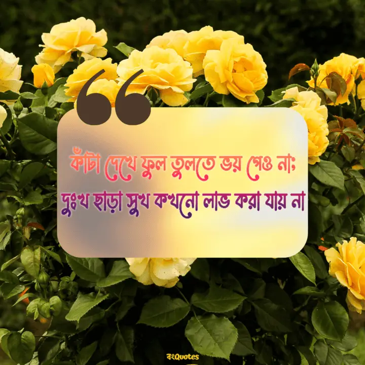 মনীষীদের শিক্ষামূলক উদ্ধৃতি