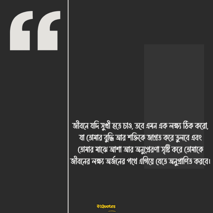 জীবনের লক্ষ্য নিয়ে স্টেটাস 1