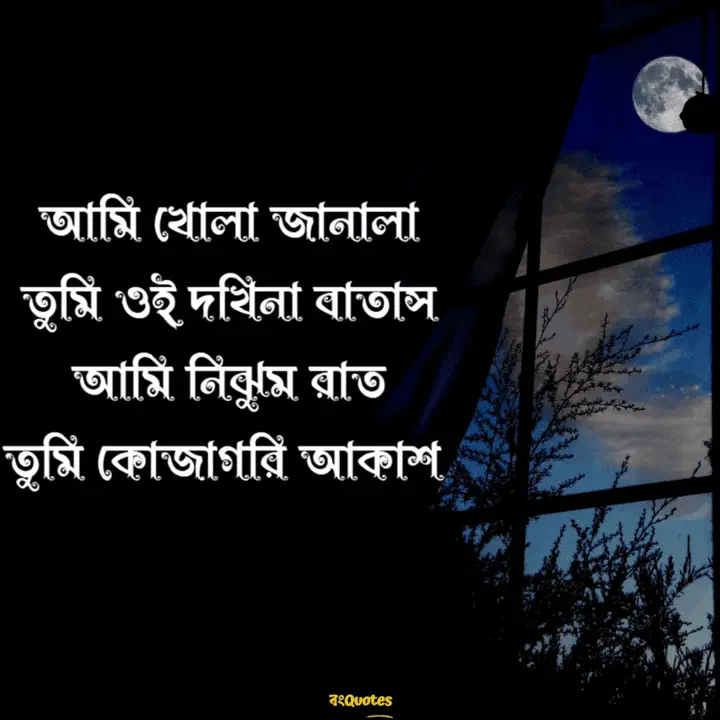 জানালা নিয়ে উক্তি