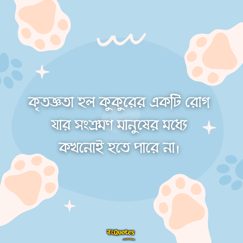 কুকুর নিয়ে সেরা লাইন 2