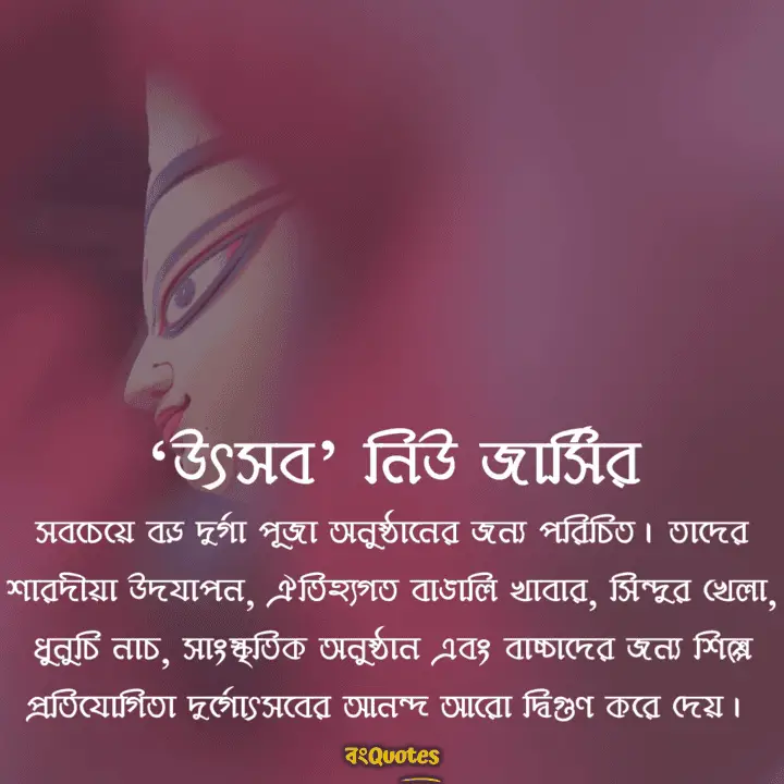 নিউ জার্সিতে ‘উৎসব’ এর দুর্গাপূজা