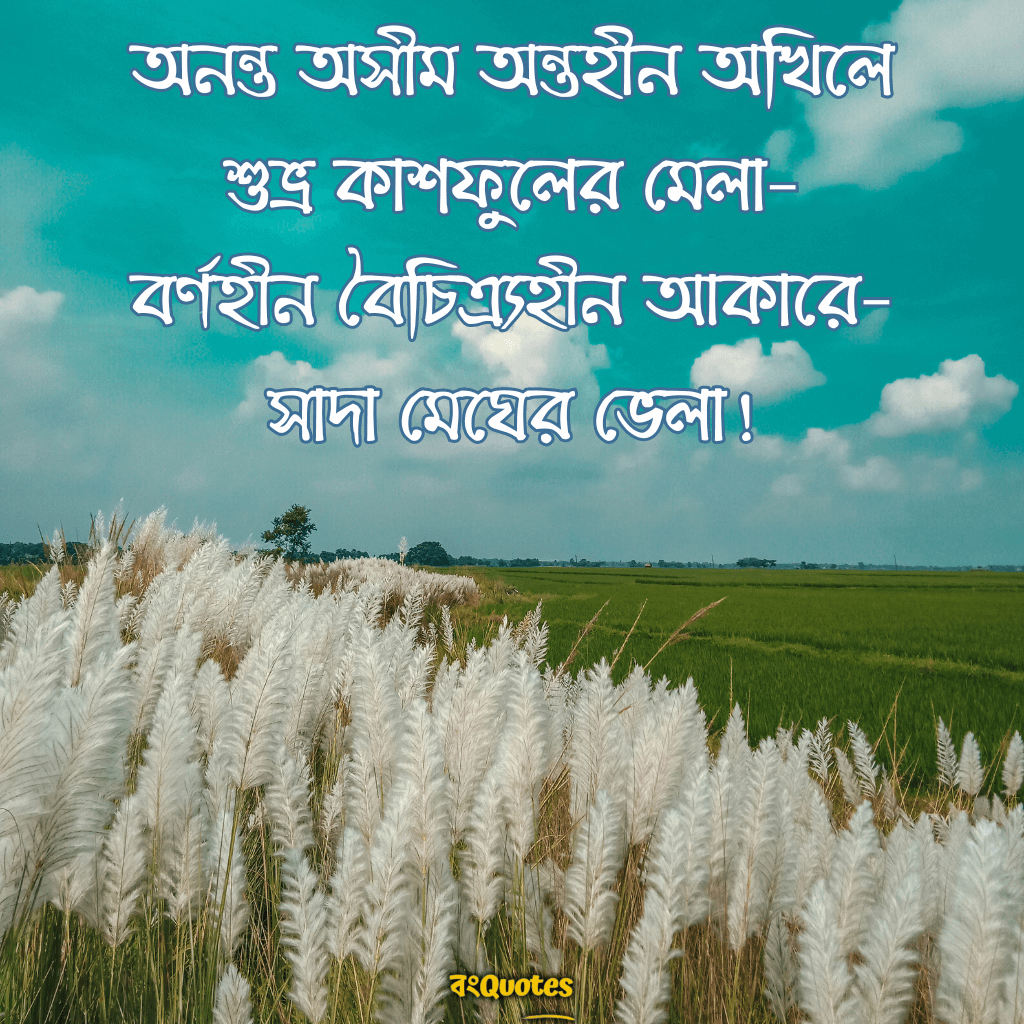 কাশফুল নিয়ে ক্যাপশন, উক্তি ~ Quotes, Lines on Kashful in Bangla ...