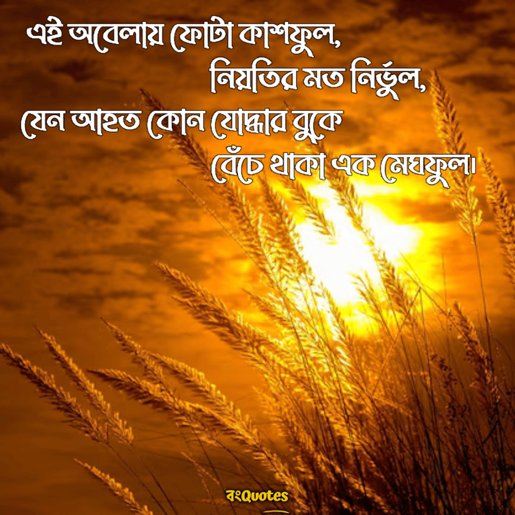 কাশফুল নিয়ে ক্যাপশন, উক্তি ~ Quotes, Lines on Kashful in Bangla ...