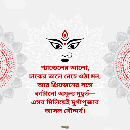 দুর্গাপূজা 30
